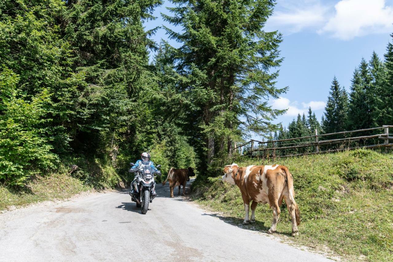 Ferienwohnungen Panorama Harrys Bike Tours วิลลาค ภายนอก รูปภาพ